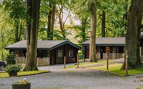 The Jonas Centre